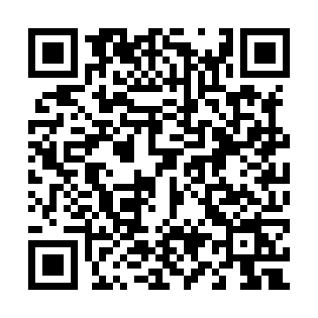 QR code for 493X