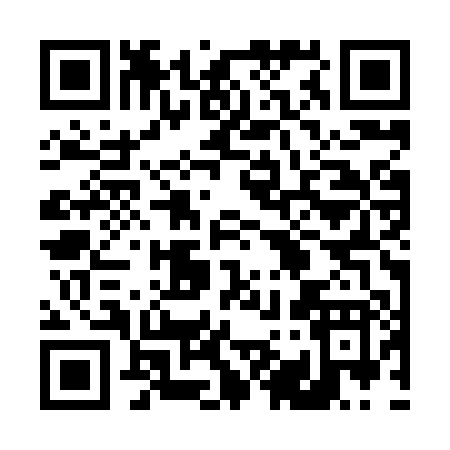 QR code for 493XP