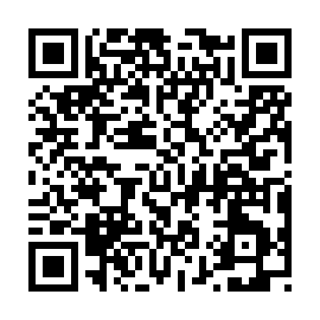QR code for 493XW