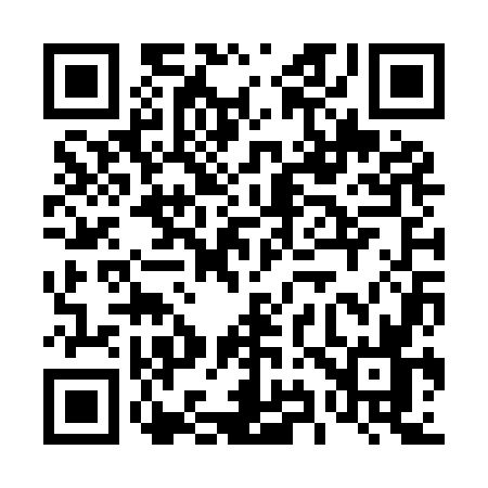 QR code for 493Y