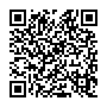QR code for 493YH