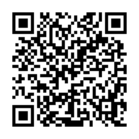 QR code for 493Z