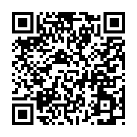 QR code for 494PP