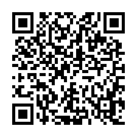 QR code for 494Z