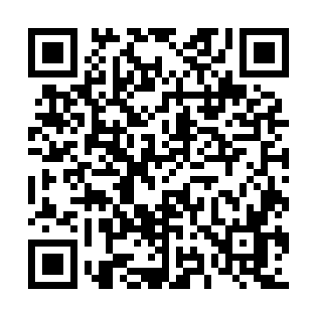QR code for 495H