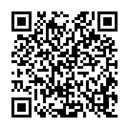QR code for 495I