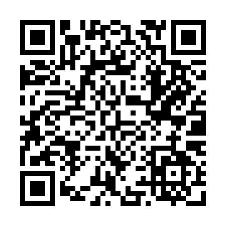 QR code for 496SI