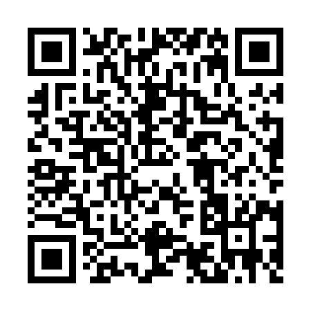 QR code for 498PI