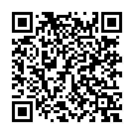 QR code for 499LOT