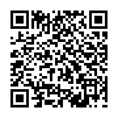 QR code for 499QP