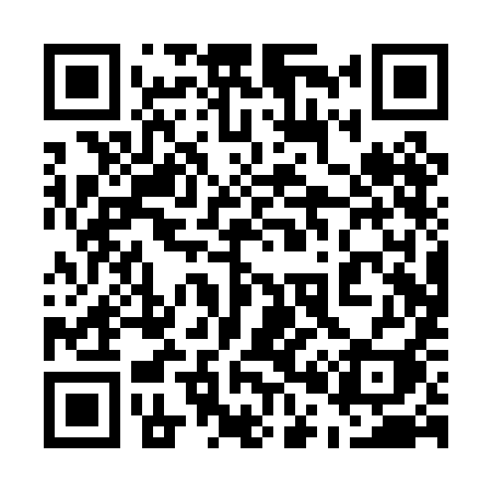 QR code for 500PII