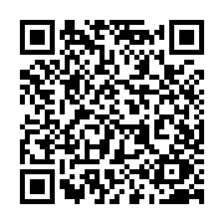 QR code for 501Y