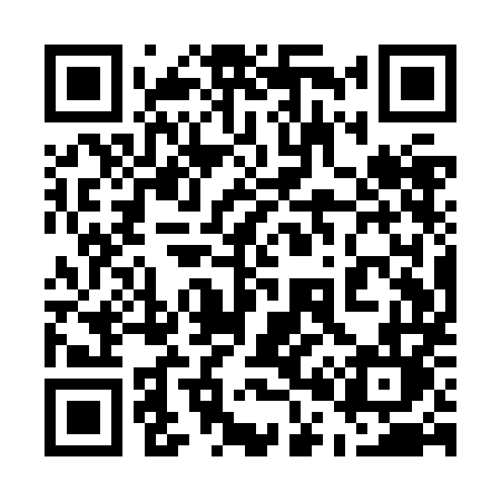QR code for 501ZML