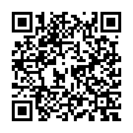 QR code for 507P