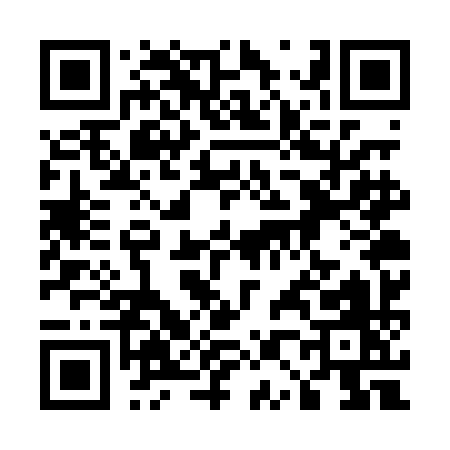 QR code for 507PI