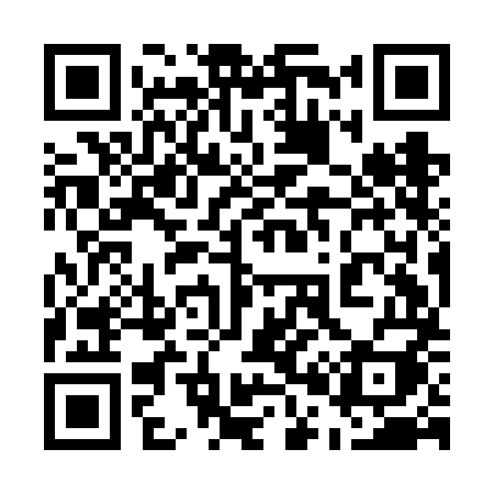 QR code for 509FMI