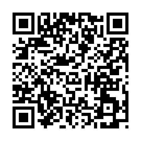 QR code for 509IS