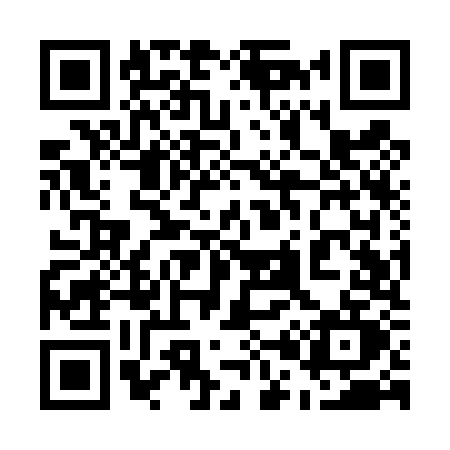 QR code for 509T