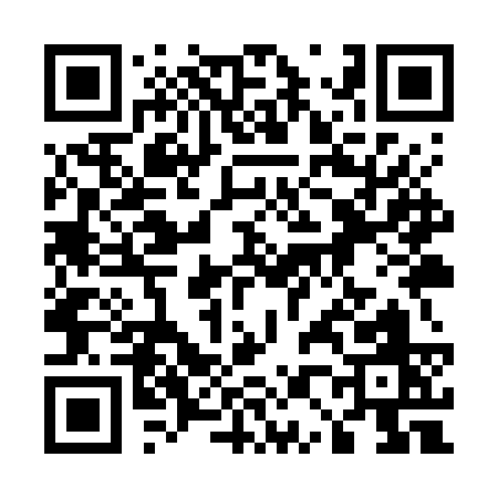 QR code for 509WS