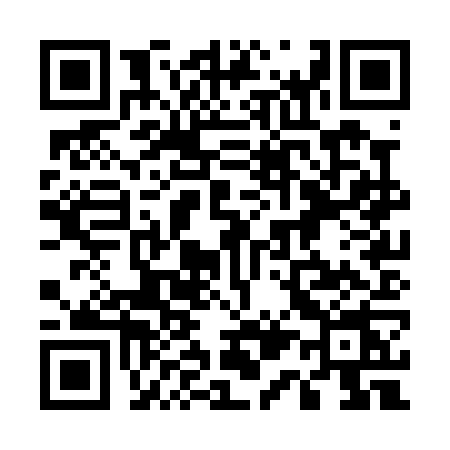QR code for 510P