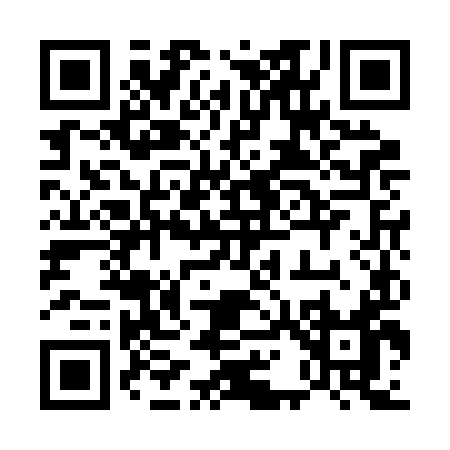 QR code for 511BI