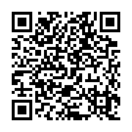 QR code for 511CZ