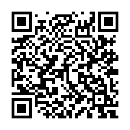 QR code for 511XIN