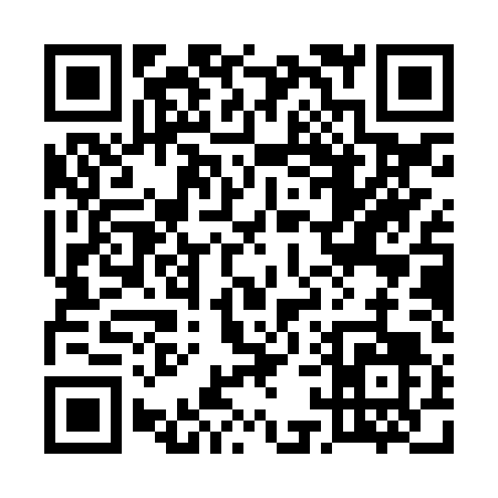 QR code for 511ZT