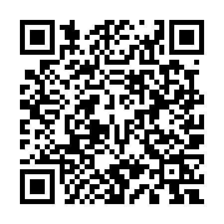 QR code for 516P