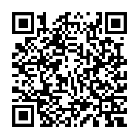 QR code for 517P