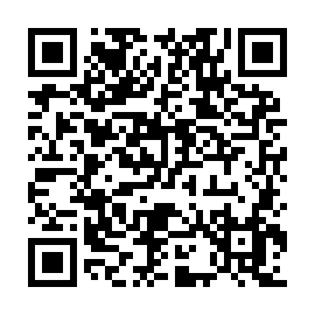 QR code for 519IN