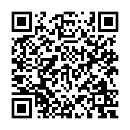 QR code for 519MC