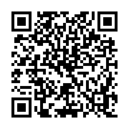 QR code for 519O