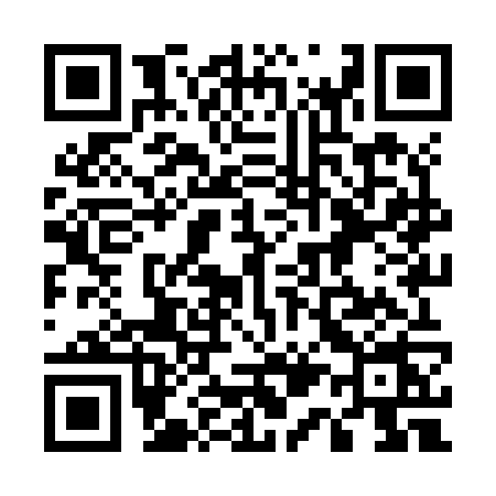 QR code for 519Z