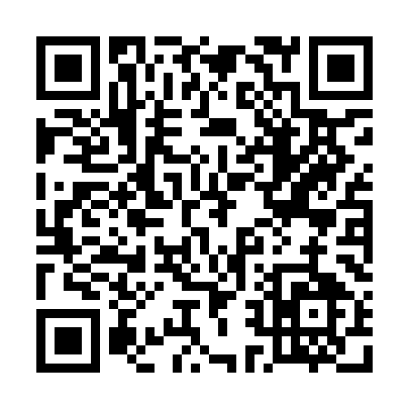 QR code for 520IM