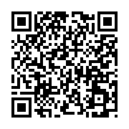 QR code for 530QI