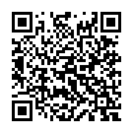 QR code for 533DMM