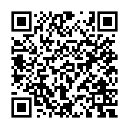 QR code for 533DW