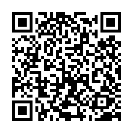 QR code for 533DZZ