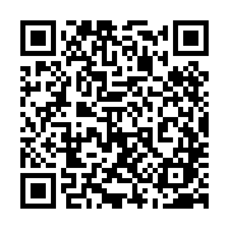 QR code for 533PLM