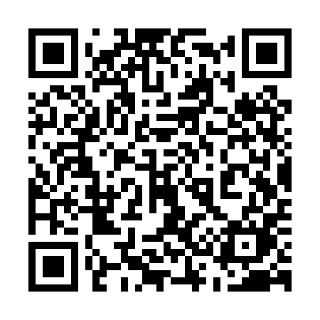 QR code for 533PPM
