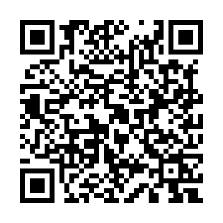 QR code for 533X