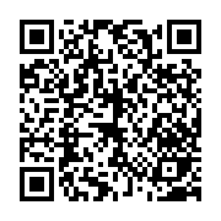 QR code for 538PZ