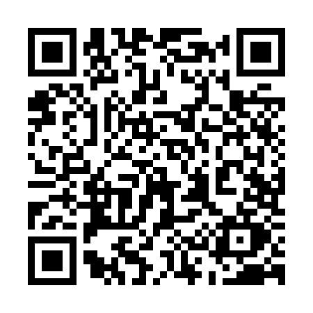 QR code for 538Z
