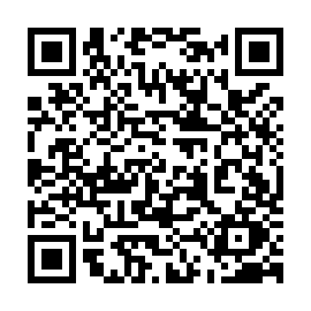 QR code for 541M