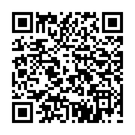 QR code for 541MH