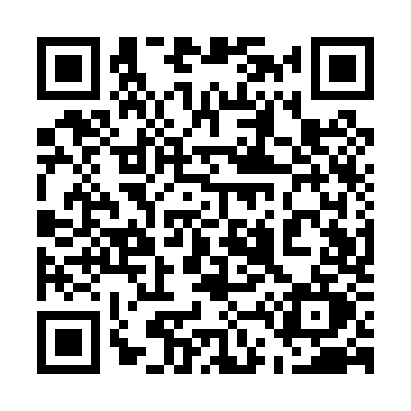 QR code for 541P
