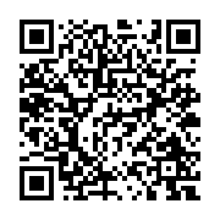 QR code for 541PB