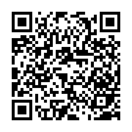 QR code for 541PP