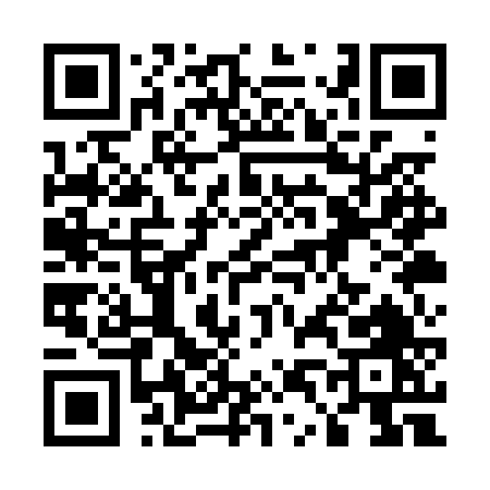 QR code for 541PV